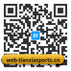 系统版 iOS 二维码